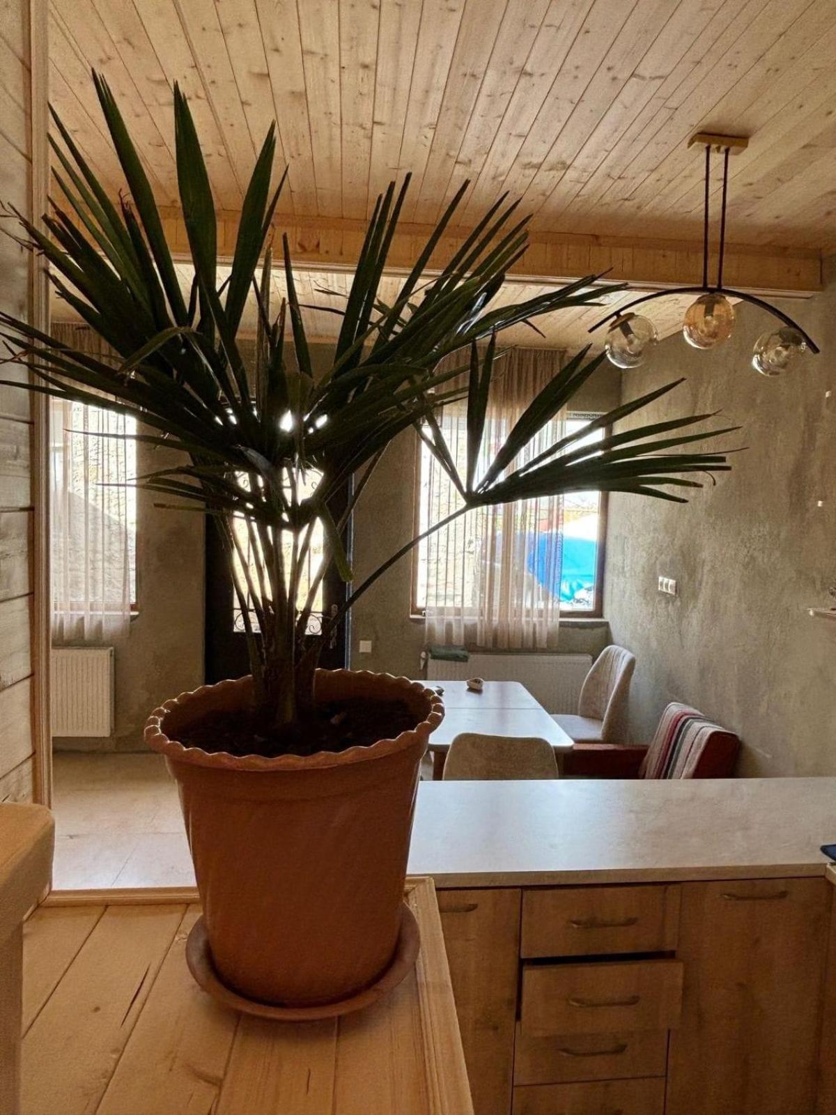 Family Hostel Nika 卡兹贝吉 外观 照片