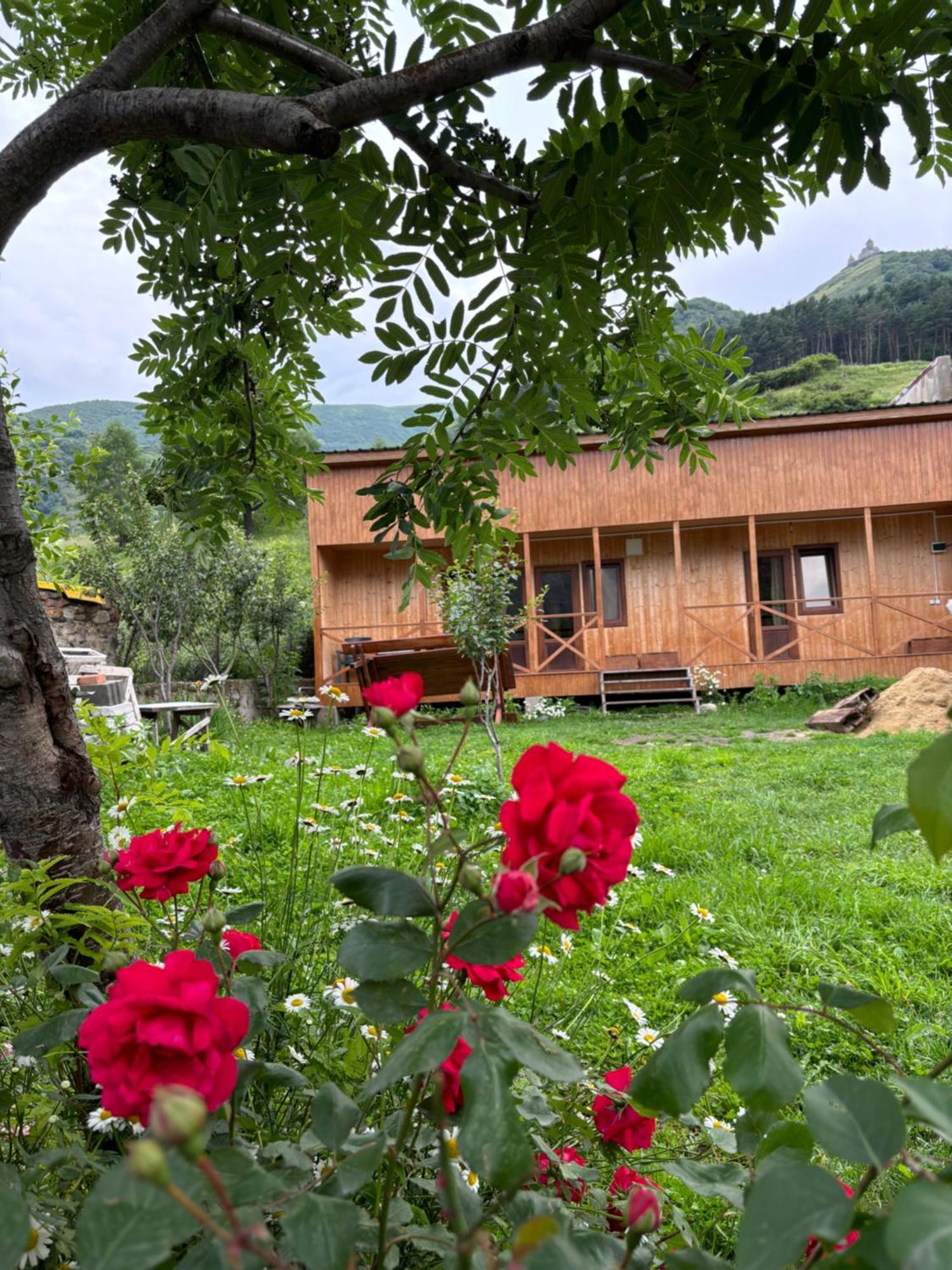 Family Hostel Nika 卡兹贝吉 外观 照片